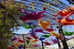 PICTURES/Desert Botanical Gardens - Wild Rising Cracking Art/t_Frogdome4.JPG